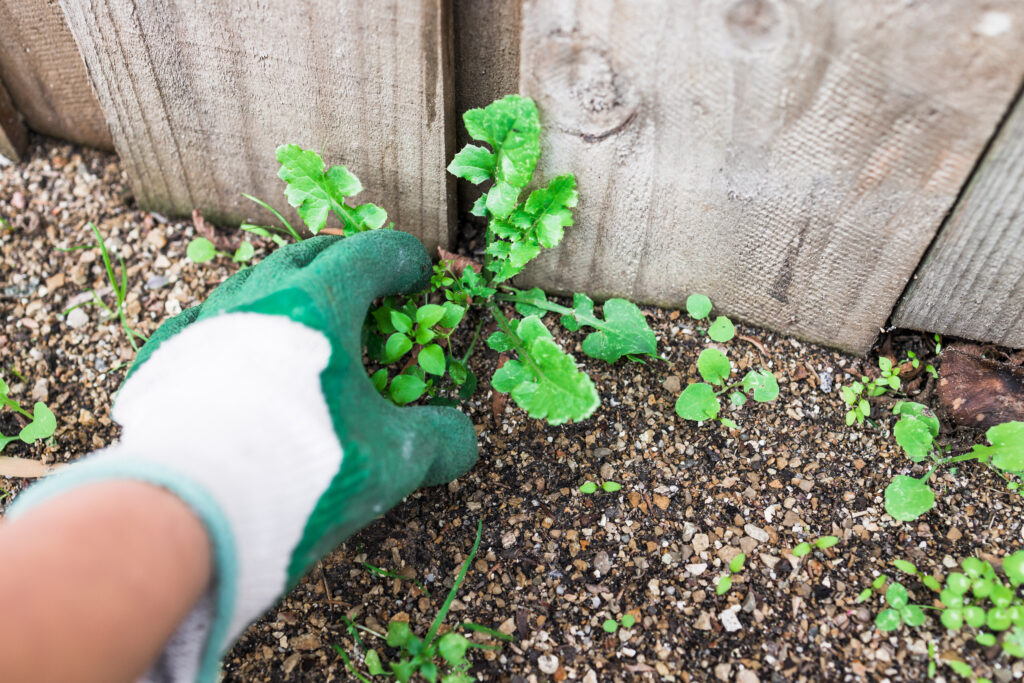 Weedkiller Supplier Lincolnshire